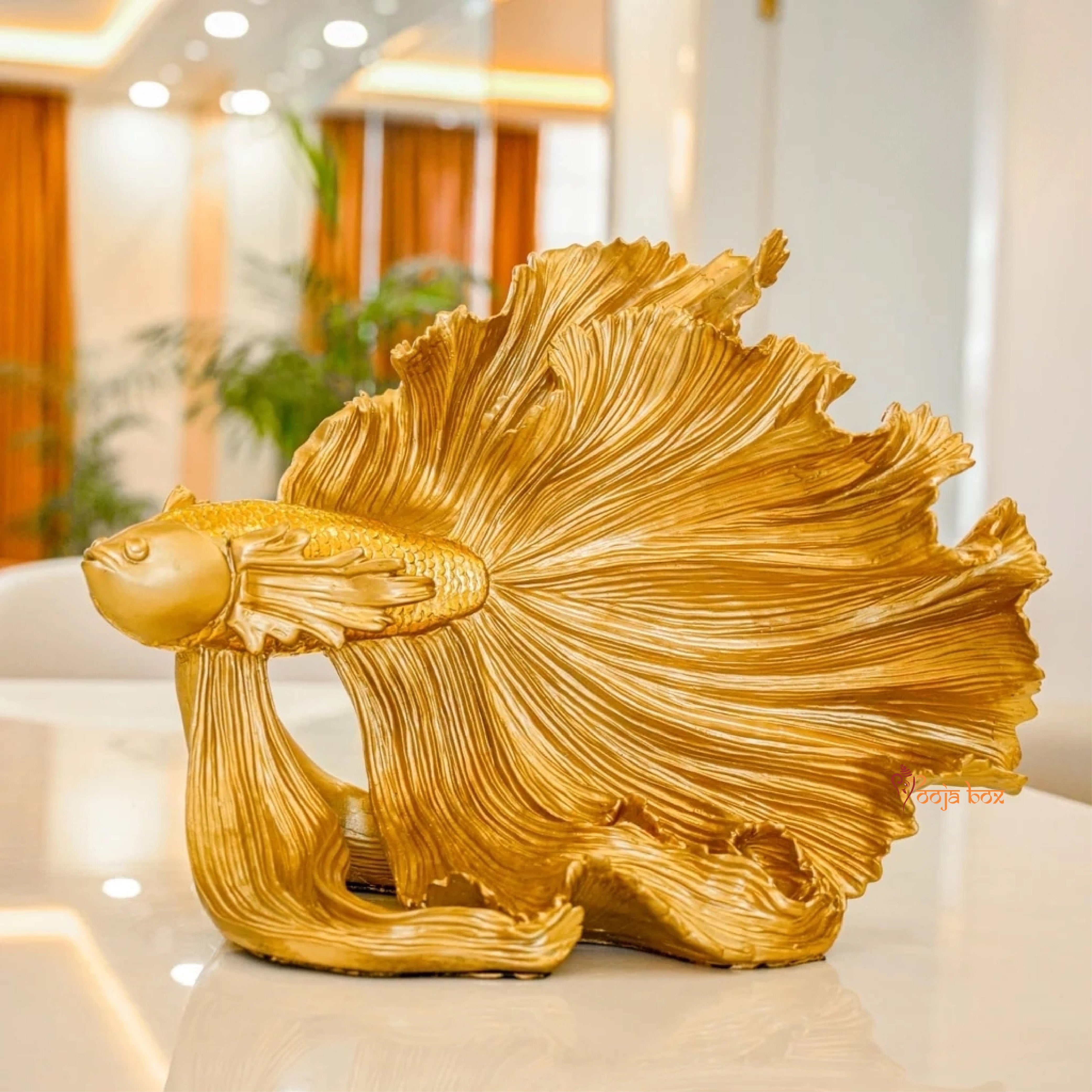 Lucky Fish- Bring its Own Luck to Your Place