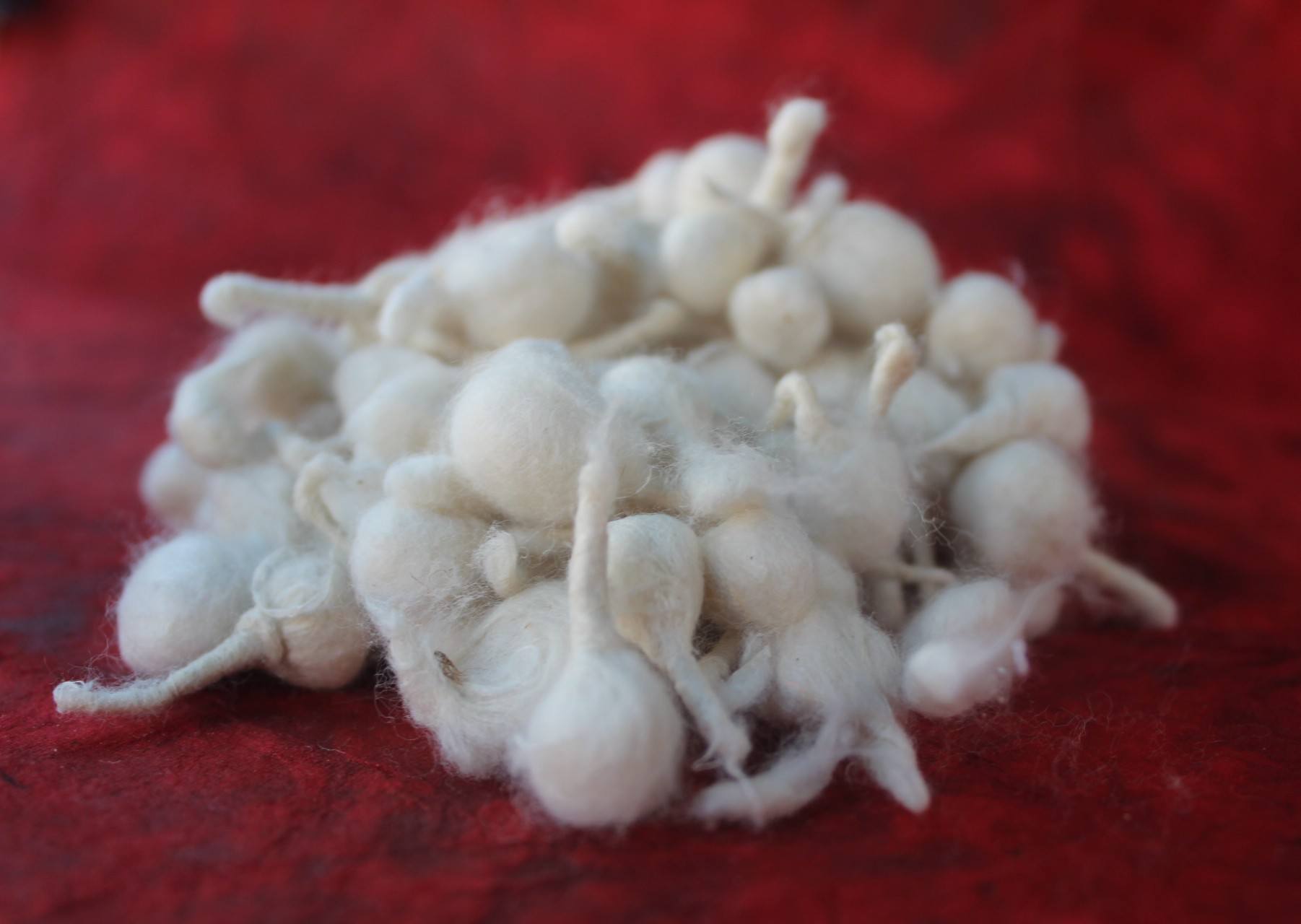 Cotton Wicks