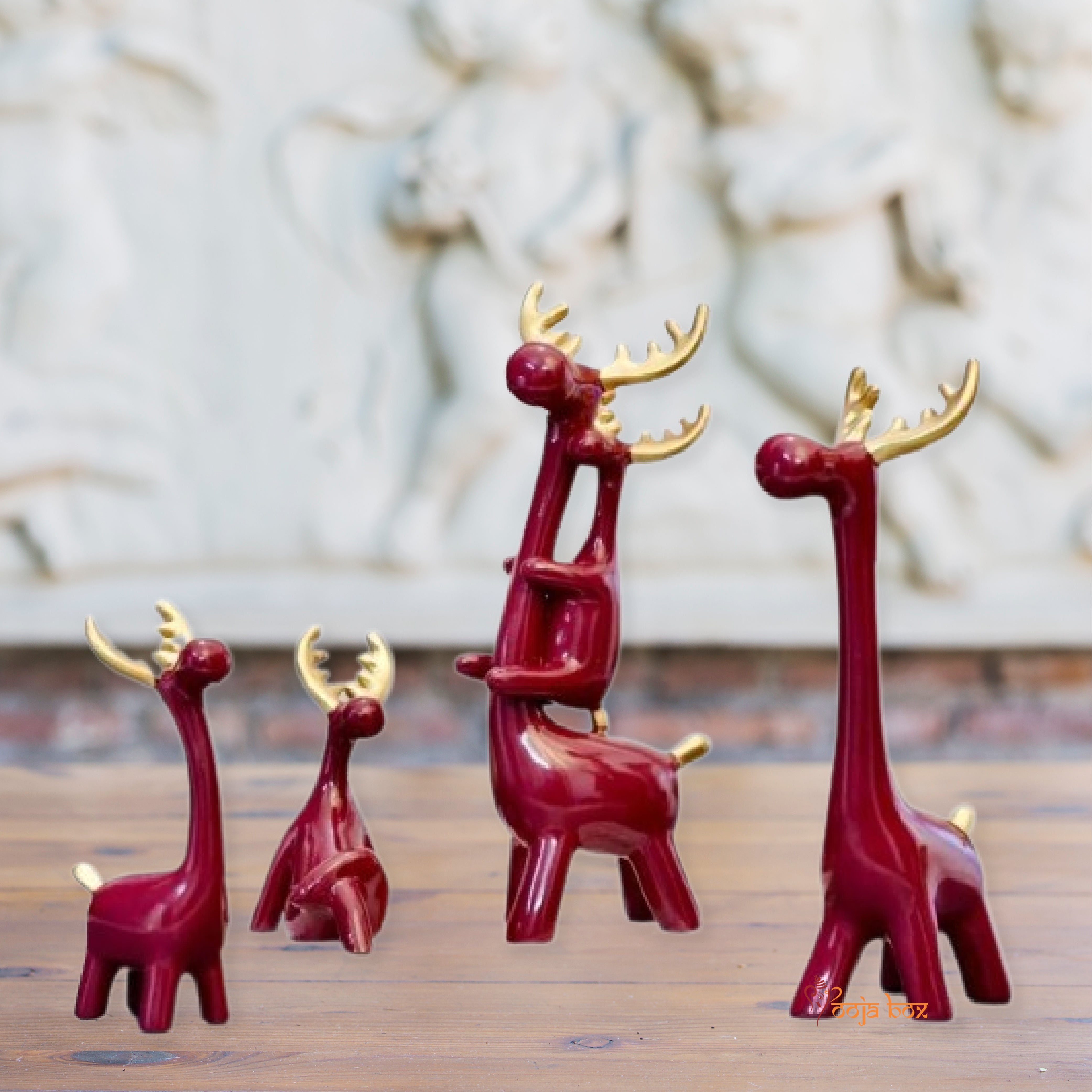 Appealing Deer Family