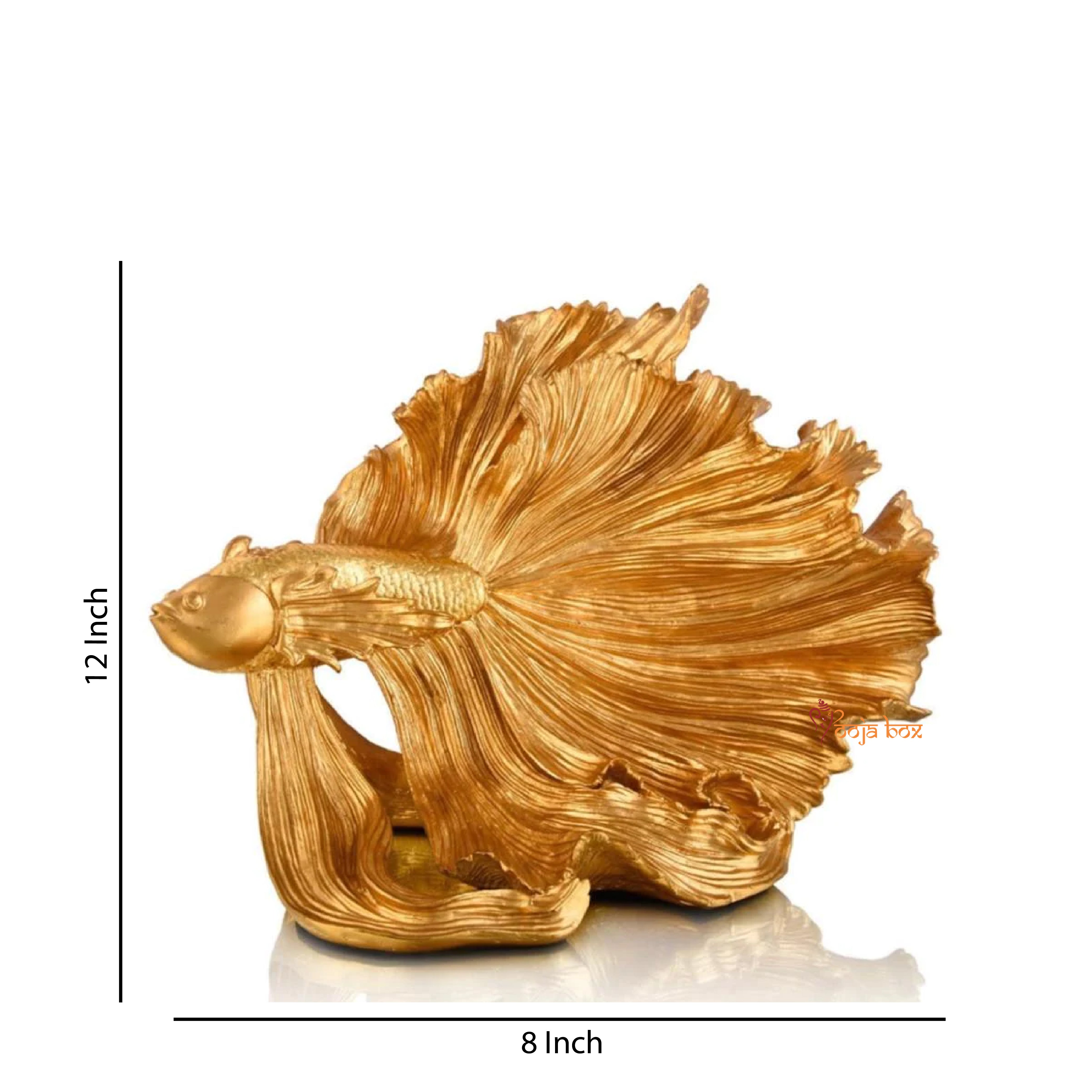 Lucky Fish- Bring its Own Luck to Your Place