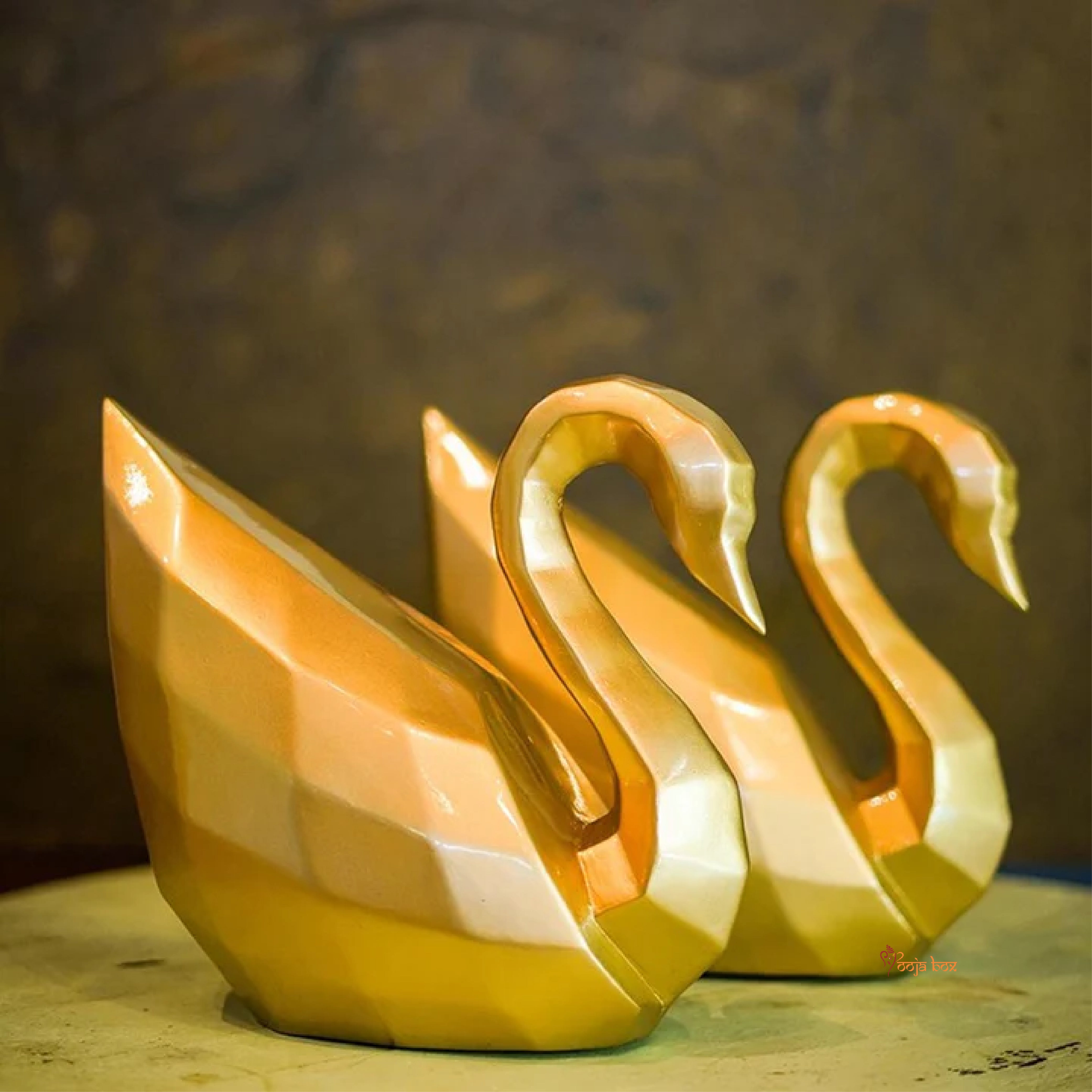 Geometric Elegant Swan