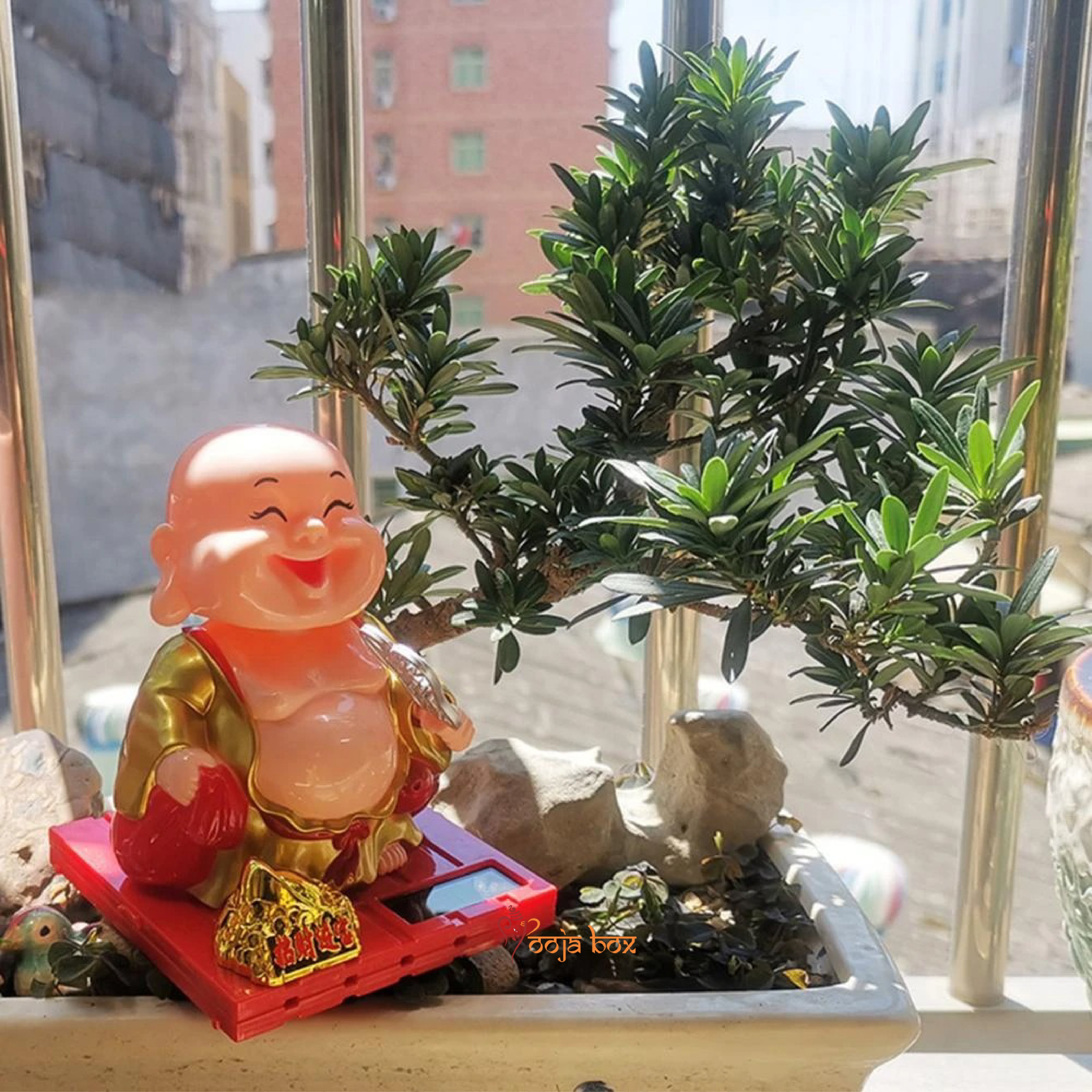 The "Ritualistic Monk" laughing Buddha holding a money bag